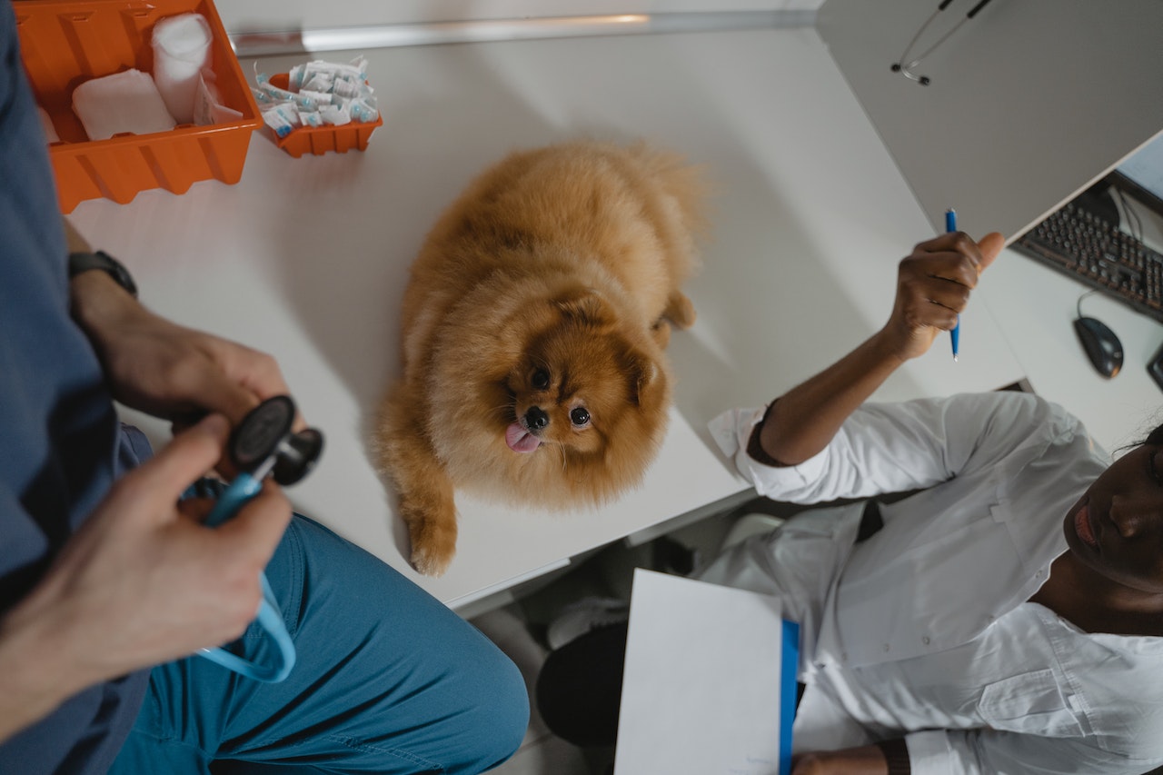 Top 15 Tax Deductions for Veterinarians ?