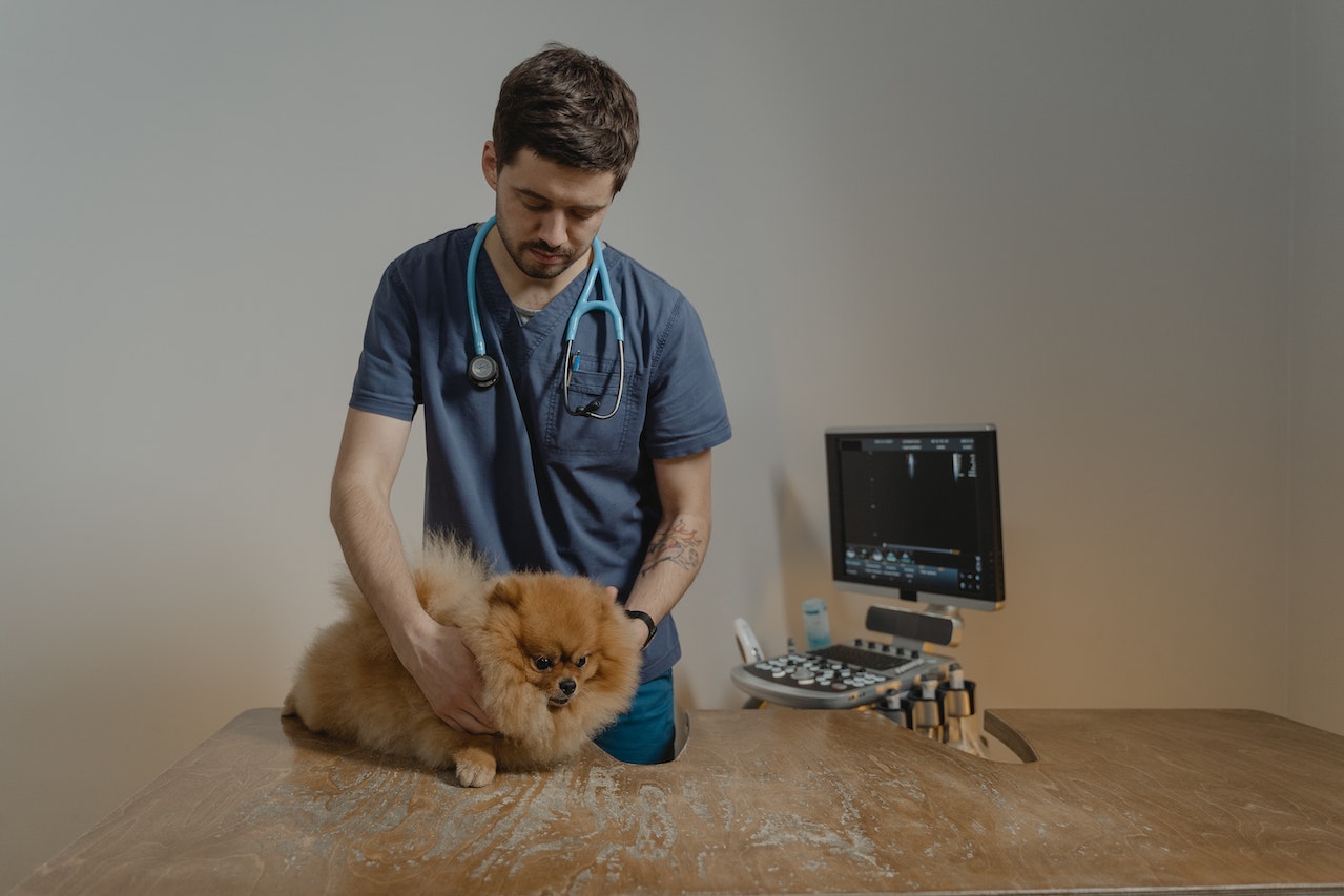 Veterinarians