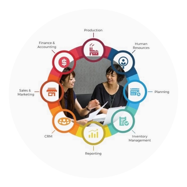 Netsuite Professional Experts